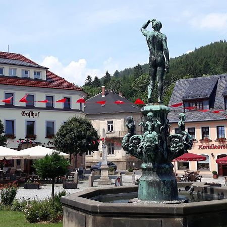 Gasthof Hillig Bad Gottleuba-Berggiesshuebel Экстерьер фото